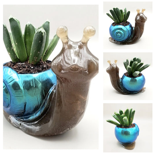 Snail Container